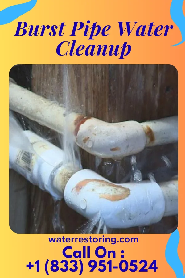 Burst Pipe Water Cleanup in Raymond City, WV