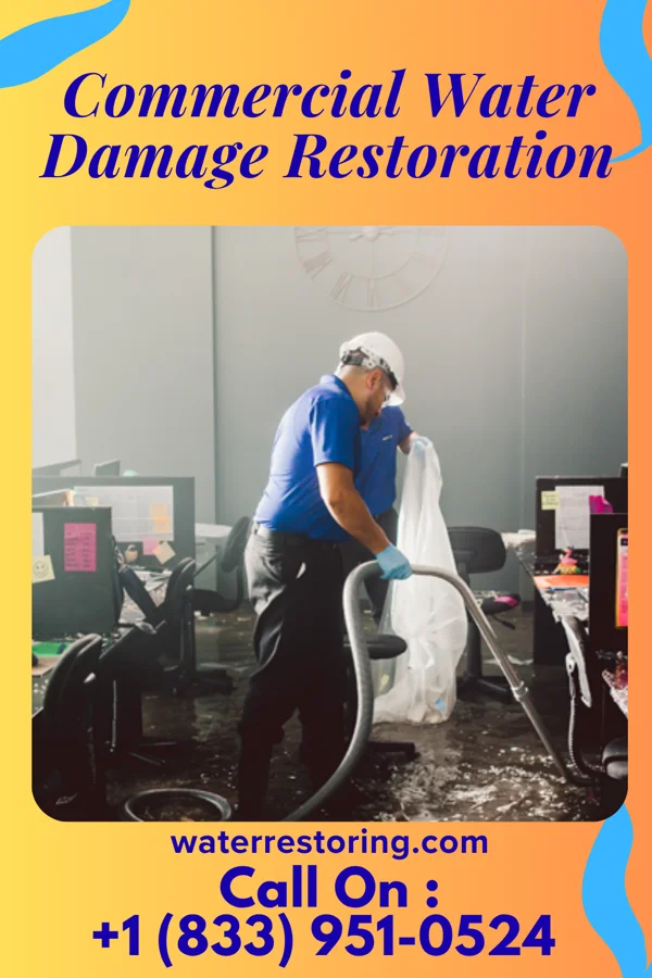 Commercial Water Damage Restoration in Raymond City, WV