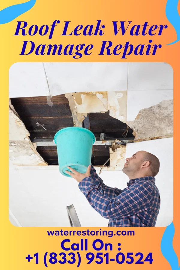 Roof Leak Water Damage Repair in Raymond City, WV