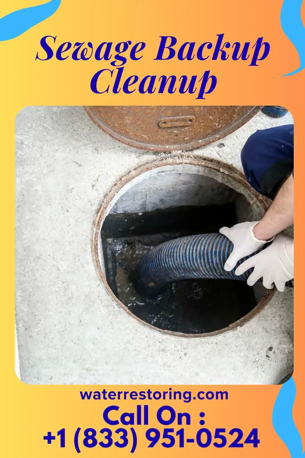 Sewage Backup Cleanup in Raymond City, WV