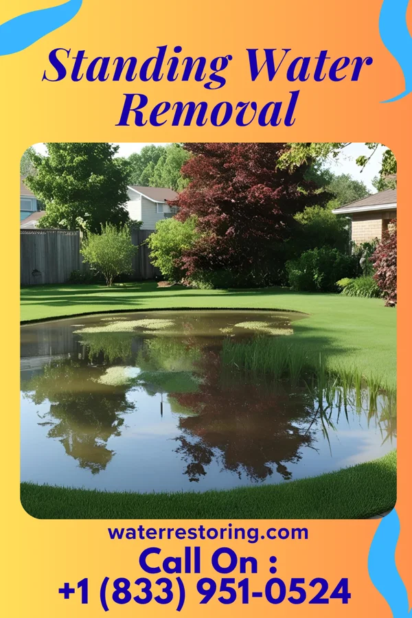 Standing Water Removal in Raymond City, WV